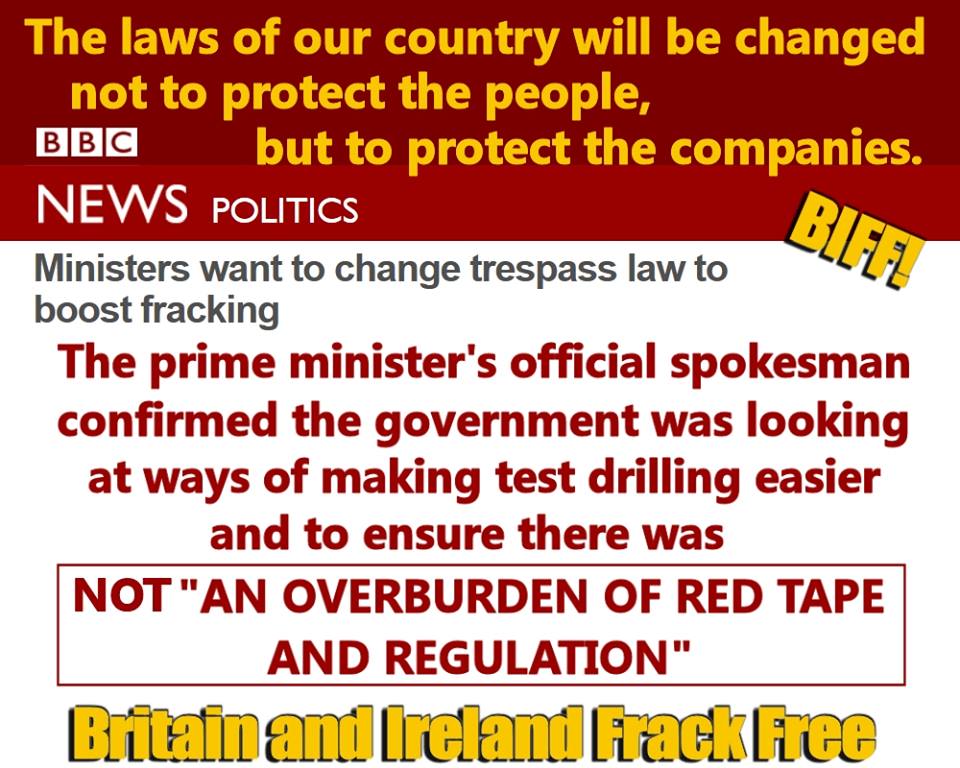 10151145_862152627144097_3854448580643127162_n