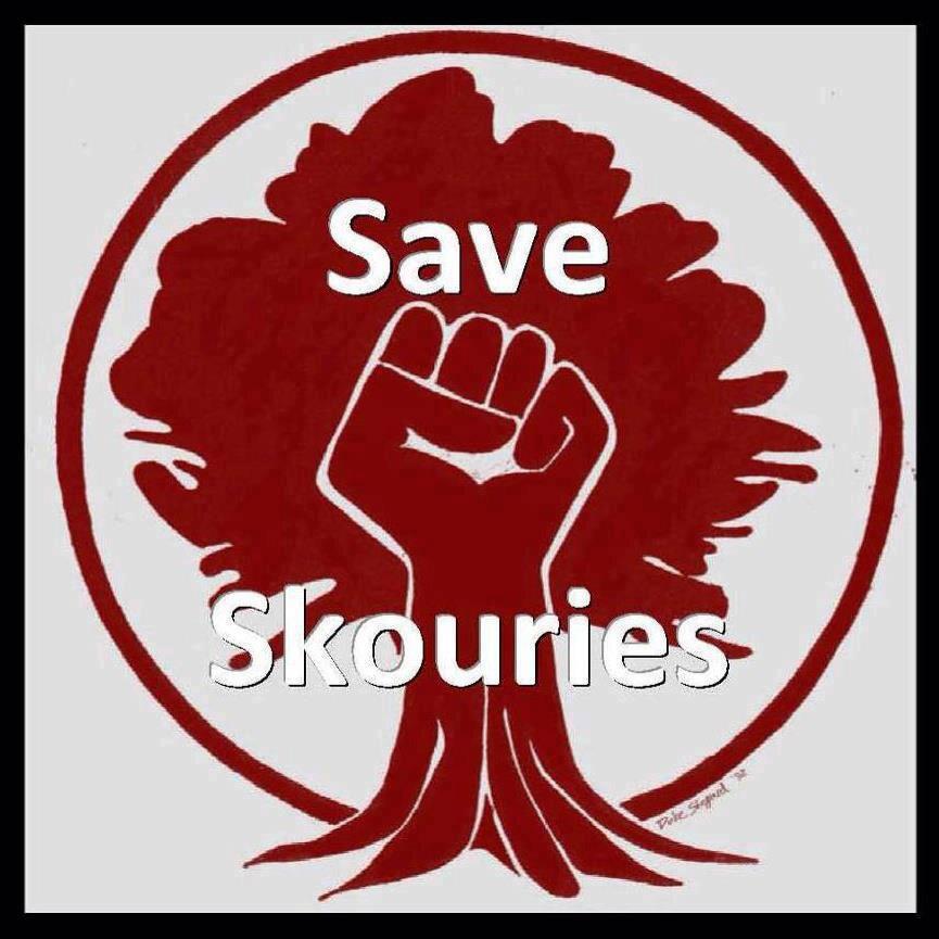 save-skouries
